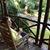 Barbara Jane Forrest Roberts's profile image