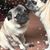 Michelle Young's profile image