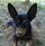 Julie Weinberg's profile image