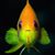 Mark Hummel's profile image