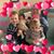 Debora Ostrander's profile image