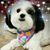 Donna Pawlowski Nowak's profile image