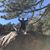 Jeannette Miclette's profile image