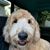 Tracie Logan Polosky's profile image