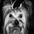 Mary Margaret Marshall's profile image