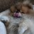 Chris Leavitt Cassy's profile image