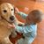 Lynn Blair McIntire's profile image