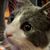 Merrilee Janness's profile image