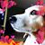 Ramona Dickinson's profile image