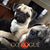 Liz Jones's profile image