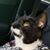 Ann Marie Toto's profile image