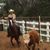 Vizsla Vizsla's profile image