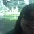 Lesley D. Bright's profile image