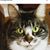 Kristie Warlick Younce's profile image