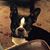 Steve Precker's profile image