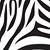Crystal Conklin's profile image