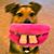 Brad Pettit's profile image