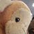 Brickie R. Bowman's profile image