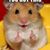 Kay Govocek's profile image