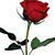 تسنيم الإبراهيمي's profile image