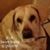 Anita Bascelli's profile image