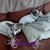 Mary Parker-allchores's profile image