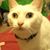 Emily Amber Grove's profile image