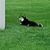 Darrell Rabe's profile image