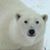 Kim Lehman Wickham's profile image