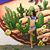 Valentina Faltoni's profile image