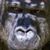 Stephen Kemp's profile image