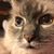 Katherine Finicum Devoe's profile image