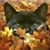 Debra Espey's profile image