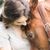 Christina Scalera's profile image