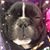 Frances Cooper's profile image