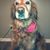 Tonya Speelman's profile image