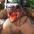 Iván Balderas's profile image