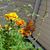 Donna Grusmark's profile image