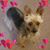 Mark Quijada's profile image