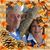 Connie C Brown Rodgers's profile image