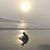 Danica Woodard Hannah's profile image