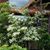 Sue Trinkle Johnson's profile image