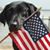 Gail Smith Vance's profile image
