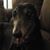 MaryAnn Bishop's profile image