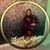 Amabeli Salinas's profile image