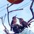 Edward Merkle's profile image