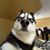 Pedro Morales Cortez's profile image