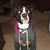 Renee Daugherty McBride's profile image