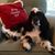 Ginger Edwards's profile image