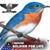 Bill Bryan's profile image